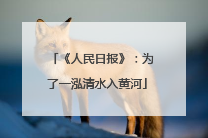 《人民日报》：为了一泓清水入黄河