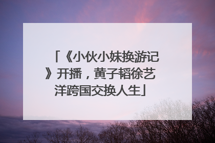 《小伙小妹换游记》开播，黄子韬徐艺洋跨国交换人生