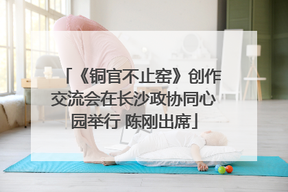 《铜官不止窑》创作交流会在长沙政协同心园举行 陈刚出席