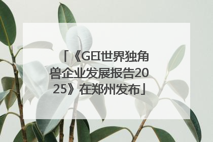 《GEI世界独角兽企业发展报告2025》在郑州发布