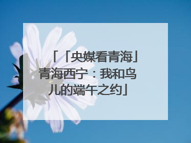 「央媒看青海」青海西宁：我和鸟儿的端午之约