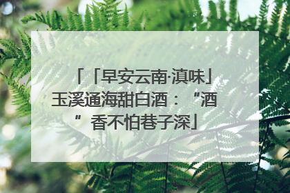 「早安云南·滇味」玉溪通海甜白酒：“酒”香不怕巷子深