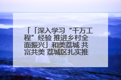 「深入学习“千万工程”经验 推进乡村全面振兴」和美荔城 共富共美 荔城区扎实推进乡村振兴工作