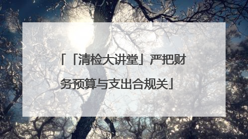 「清检大讲堂」严把财务预算与支出合规关