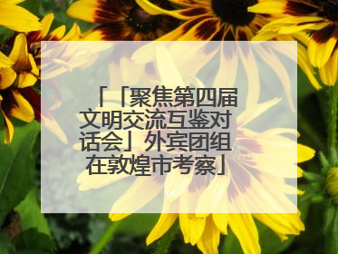 「聚焦第四届文明交流互鉴对话会」外宾团组在敦煌市考察