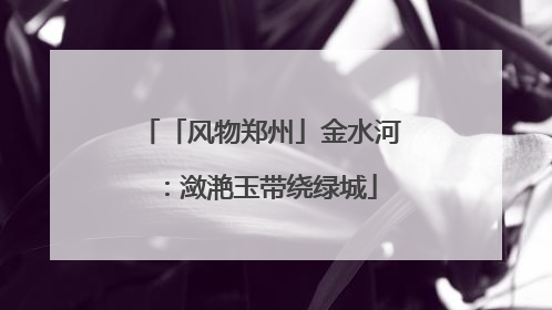 「风物郑州」金水河：潋滟玉带绕绿城