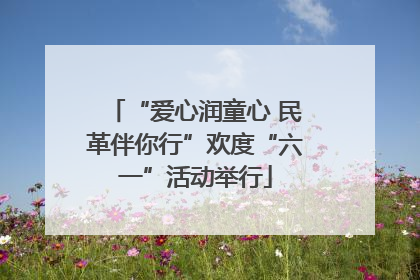 “爱心润童心 民革伴你行”欢度“六一”活动举行