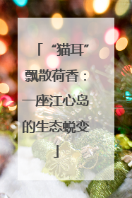 “猫耳”飘散荷香：一座江心岛的生态蜕变