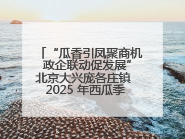 “瓜香引凤聚商机 政企联动促发展”北京大兴庞各庄镇 2025 年西瓜季政企联动产业推介活动圆满举行