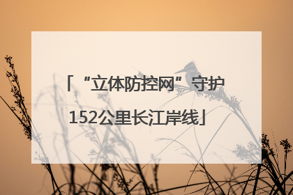 “立体防控网”守护152公里长江岸线