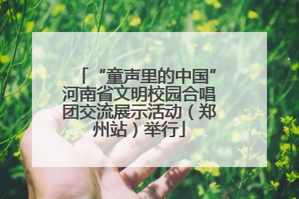 “童声里的中国”河南省文明校园合唱团交流展示活动（郑州站）举行