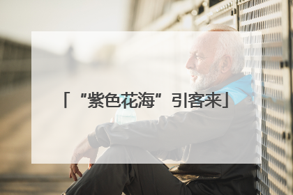 “紫色花海”引客来