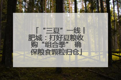 “三夏”一线丨肥城：打好夏粮收购“组合拳” 确保粮食颗粒归仓