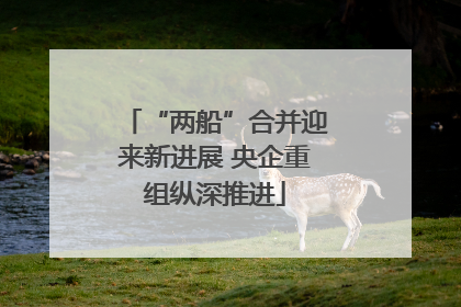 “两船”合并迎来新进展 央企重组纵深推进