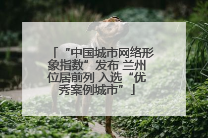 “中国城市网络形象指数”发布 兰州位居前列 入选“优秀案例城市”