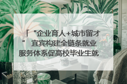 “企业育人+城市留才” 宜宾构建全链条就业服务体系促高校毕业生就业｜您牵挂的四川