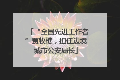 “全国先进工作者”贾牧樵，担任边境城市公安局长