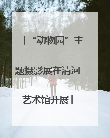 “动物园”主题摄影展在清河艺术馆开展