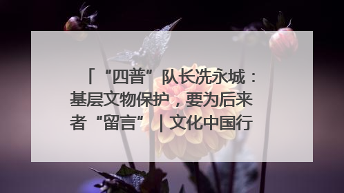 “四普”队长冼永城：基层文物保护，要为后来者“留言”｜文化中国行·我在广东找文物