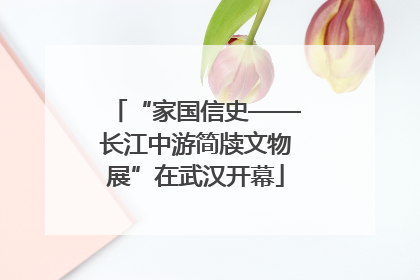 “家国信史——长江中游简牍文物展”在武汉开幕