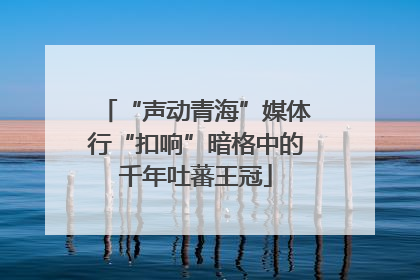 “声动青海”媒体行“扣响”暗格中的千年吐蕃王冠