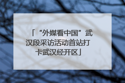 “外媒看中国”武汉段采访活动首站打卡武汉经开区