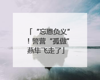 “忘恩负义”！警营“孤傲”燕隼飞走了