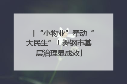 “小物业”牵动“大民生”！舞钢市基层治理显成效