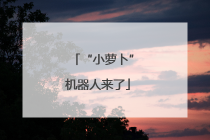 “小萝卜”机器人来了