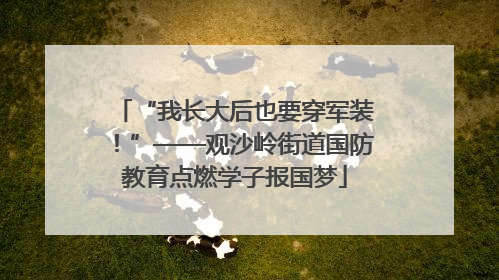 “我长大后也要穿军装！”——观沙岭街道国防教育点燃学子报国梦