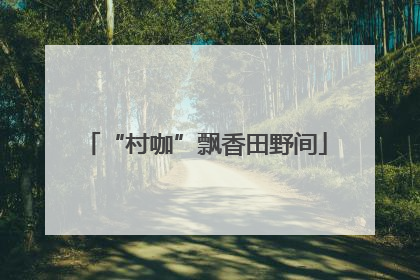 “村咖”飘香田野间