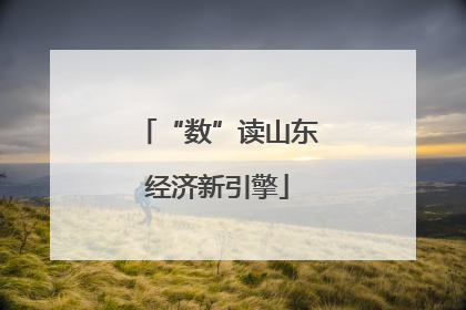 “数”读山东经济新引擎