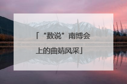 “数说”南博会上的曲靖风采
