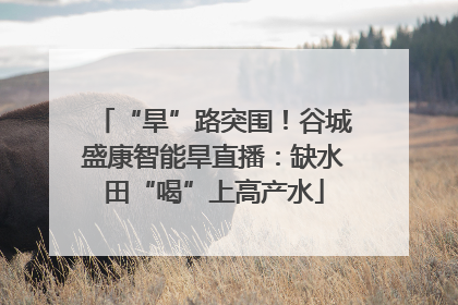 “旱”路突围！谷城盛康智能旱直播：缺水田“喝”上高产水
