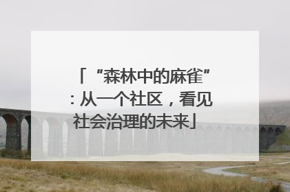 “森林中的麻雀”：从一个社区，看见社会治理的未来