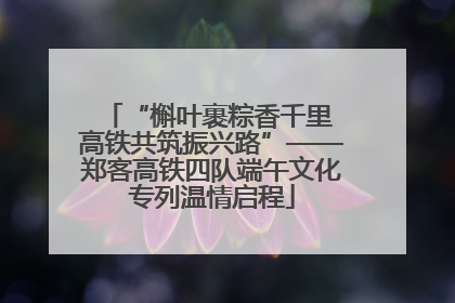 “槲叶裹粽香千里 高铁共筑振兴路”——郑客高铁四队端午文化专列温情启程