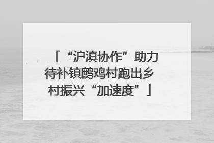 “沪滇协作”助力待补镇鹧鸡村跑出乡村振兴“加速度”