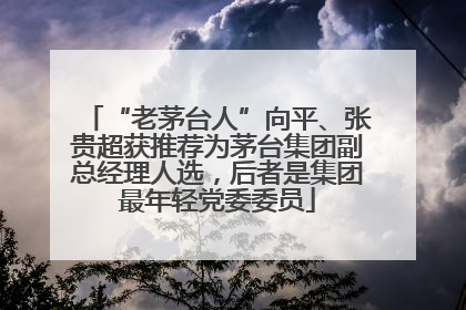 “老茅台人”向平、张贵超获推荐为茅台集团副总经理人选，后者是集团最年轻党委委员