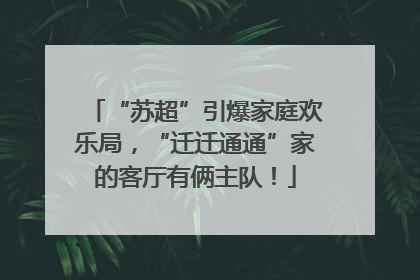 “苏超”引爆家庭欢乐局，“迁迁通通”家的客厅有俩主队！