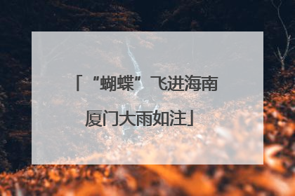 “蝴蝶”飞进海南 厦门大雨如注