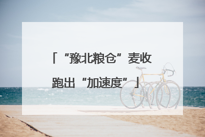 “豫北粮仓”麦收跑出“加速度”