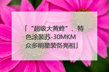 “超级大黄蜂”、特色涂装苏-30MKM 众多明星装备亮相