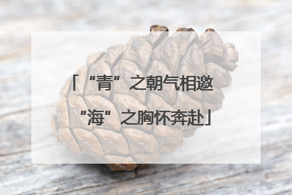 “青”之朝气相邀 “海”之胸怀奔赴