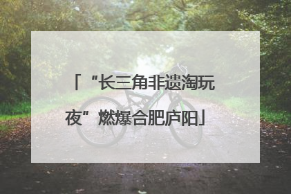 “长三角非遗淘玩夜”燃爆合肥庐阳
