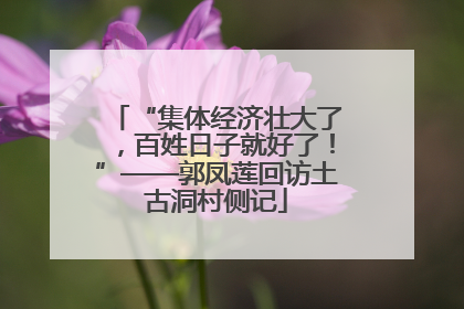 “集体经济壮大了，百姓日子就好了！”——郭凤莲回访土古洞村侧记