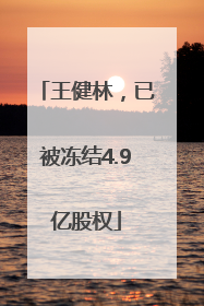 王健林，已被冻结4.9亿股权