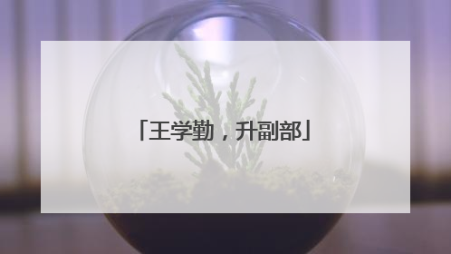 王学勤，升副部