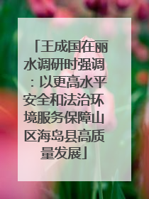 王成国在丽水调研时强调：以更高水平安全和法治环境服务保障山区海岛县高质量发展