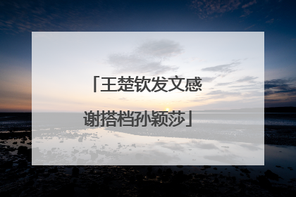 王楚钦发文感谢搭档孙颖莎