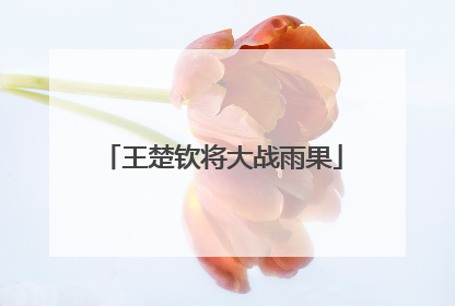 王楚钦将大战雨果